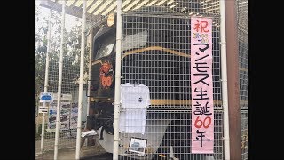 祝60周年 生誕祭 静態保存車両 EH10 61号機 車両内外見学会＠大阪市東淀川区 東淡路南公園