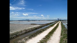 Série Maravilhas de Araruama-Salinas de Araruama