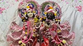 Ekadashi Darshans from ISKCON Vrindavan 😍 #GKD