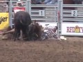 rodeo horse fatally gored by bull