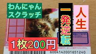 【2020、11、22】わんにゃんスクラッチ☆ねこ・ミックス8