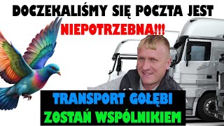 Jak Transportować Gołębie Po BLOKADZIE POCZTY!? | Kurier Gołębi