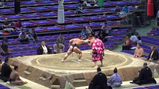 爆羅騎-春光/2017.7.23/baraki-haruhikari/day15 #sumo