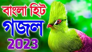 Top 5 Amazing Bangla Gojol || বাংলা ইসলামিক গজল || Bangla Gojol 2023 New Islamic Gojol,বাংলা গজল2023