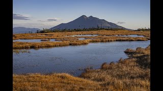 秋の尾瀬　横田代～アヤメ平　最高の草紅葉と至仏山・燧ヶ岳