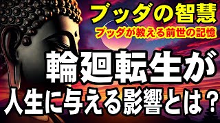 【ブッダの教え】輪廻転生が人生に与える影響とは？#ブッダの教え #輪廻転生 #潜在意識