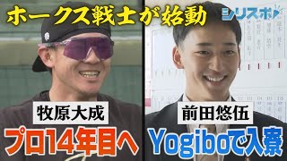 プロ１４年目・牧原大成＆ルーキー・前田悠伍 2024年鷹戦士が始動【シリスポ！ホークスこぼれ話】