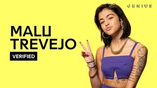 Malu Trevejo "Swipe Dat" Official Lyrics & Meaning | Verified