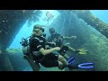 Discover scuba diving Viktoria & Maurycy Amed Bali Abyss