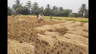 மேகங்களைத் தொடர்ந்து வெப்பம் தாக்கிக் கொண்டிருந்தால் மழை பொழியாது என்பது சரியா...?