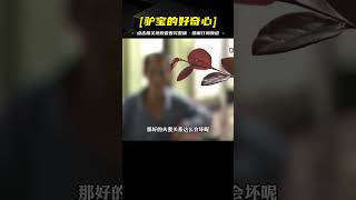 浙江一女子突然失蹤，丈夫焦急尋找的背后，卻有不可告人的秘密