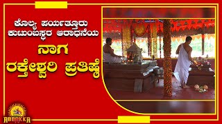 Naga/Raktheshwari/ಕೊಲ್ಯ ಪರ್ಯತ್ತೂರು ಕುಟುಂಬಸ್ಥರ ಆರಾಧನೆಯ ನಾಗ - ರಕ್ತೇಶ್ವರಿ ಪ್ರತಿಷ್ಠೆ