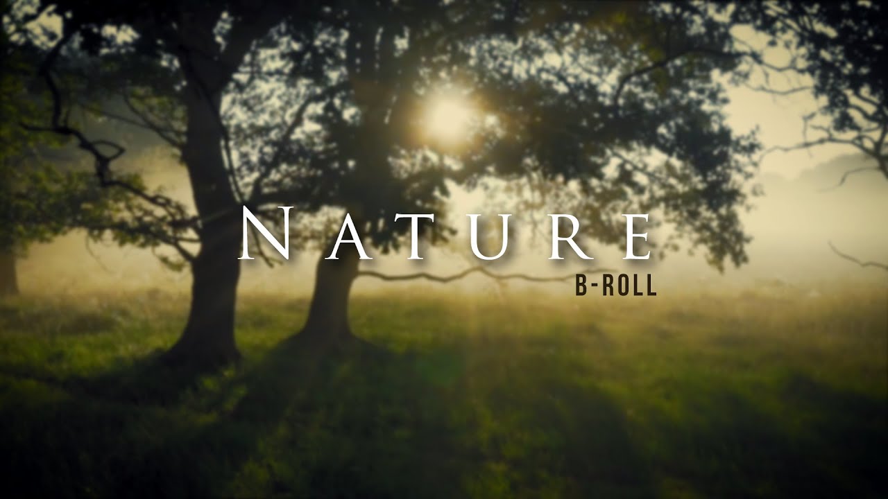 Nature B-Roll Cinematic | Video Sinematik Alam | Nature Video Clips ...