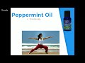 peppermint essential oil all you ever need to know