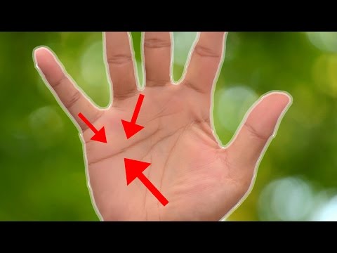 Read Your Own Palm To Predict Your Love Life Read Your Own Palm To Predict Your Love Life