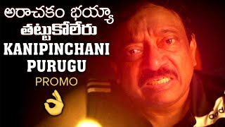 Kanipinchani Purugu RGV Song PROMO | Ram Gopal Varma Kanipinchani Purugu Full Video Song | Wall Post