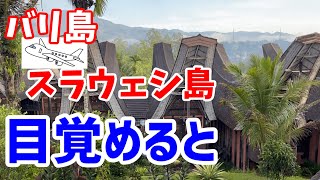 新作！封切り【バリ島】から【スラウェシ島】の秘境トラジャへ！