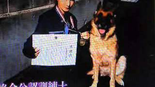 犬の訓練士松尾晴美