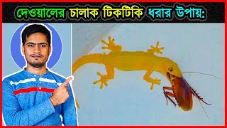 🦎 বাসা বাড়ির দেয়াল থেকে ক্ষতিকর-চালাক টিকটিকি ধরার উপায় 🦎 How to catch  lizards ⚡ jactok