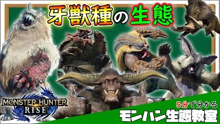 【MHRise】牙獣種の全生態　#shortsまとめ