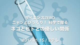 #Eテレ 「科学で探る ネコとヒトとの優しい関係」 #サイエンスZERO