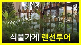 [식물가게vlog] 룸투어 아니, 난 매장투어🙋🏻‍♀️ 식물가게 랜선구경오세요! 🌿