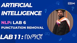 Punctuation Mark Removal: NLP Data Preprocessing for Deep Learning በአማርኛ (Lab 11)