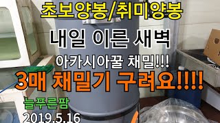 초보양봉/취미양봉 내일 이른 새벽 아카시아꿀 채밀!! 3매 채밀기 안좋아요  늘푸른팜 2019.5.16