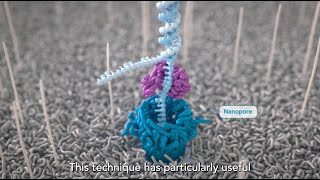 Long-reads: the next generation of cancer genome sequencing (subtitles)