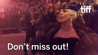 Don't miss out | TIFF 2019