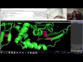 pymol for beginners video 2 labels