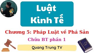 Luật Kinh Tế chương 5: Pháp luật về Phá sản Chữa BT phần 1 (siêu dễ hiểu) ♥️ Quang Trung TV