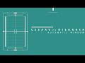 Cesare vs Disorder - Automatic Window (Original Mix)