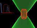 principles of sted microscopy