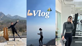 Vlog) 북한산 등산하고 헬스하기 . 운동하는 직장인 . 직장하는운동인 . 일상브이로그 . 진짜 운동만 하는 일상 ..