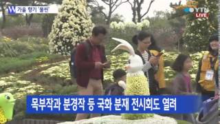 함평 국화 축제로 오세요! / YTN