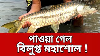 বাংলাদেশে অন্য রকম মাছ মহাশোল নিয়ে গবেষণা | Mohashol Fish | Mytv News