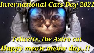 International cat day 2021 // சர்வதேச பூனைகள் தினம் 2021 // Interesting facts about cats