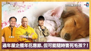 過年屋企擺年花應節，但可能隨時害死毛孩？！｜瘋中三子｜主持：阿通、蝌蚪、王德全