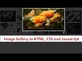 How To Create Image Gallery In HTML, CSS and Javascript | Lightbox Gallery