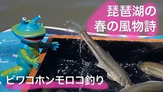 琵琶湖の春の風物詩。ホンモロコ釣り！2023