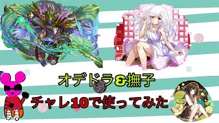 鼠流攻略！オデドラを試運転がてらクエダンLV10に挑戦！