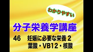 分子栄養学講座46〜妊娠に必要な栄養素2 葉酸・VB12・核酸