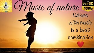 Music of Nature | Stress Relief | Peaceful & Calming Music | Healing music & Visuals