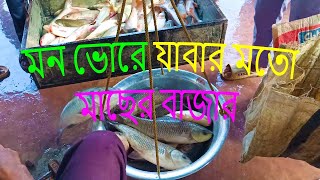 মন ভোরে যাবার মতো মাছের বাজার The fish market is a place to go in the morning