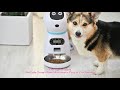 Hot Intelligent Robot: Automatic Dog Timing Feeder