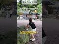 밀양만어사소원돌 소원꼭 들어주세요😁🙏 쭈나샘tv