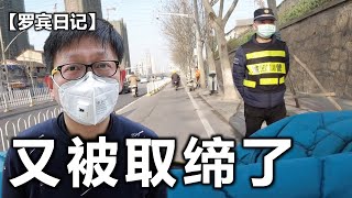 【罗宾日记】出现在我视频里的卖鱼铺也被关闭了，全是城管 | 小区流浪猫喂食