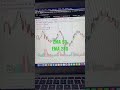 1 secret indicator used by professional traders tradingview indicators optionstrading