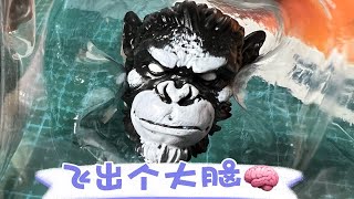 【狸胖测评】Spero动物王国 头雕包恶棍3头山魈猿猴1/12比例可动人偶，恶棍头雕套装一个比一个邪恶